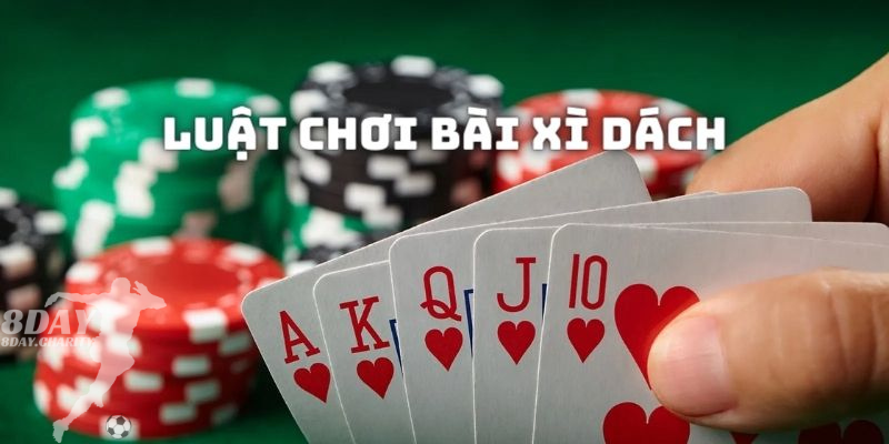 Luật chơi bài Xì dách chi tiết nhất dành cho mọi tân binh